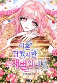 Cover of The Millionaire Divorcee