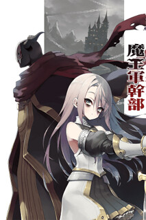 Cover of The Negative Hero and the Chief of the Demon Army