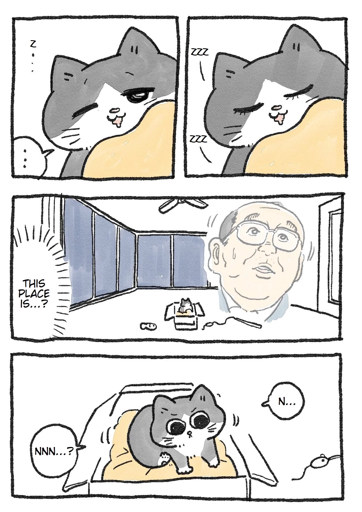 The Old Man Who Was Reincarnated As A Cat chapter 12 page 1