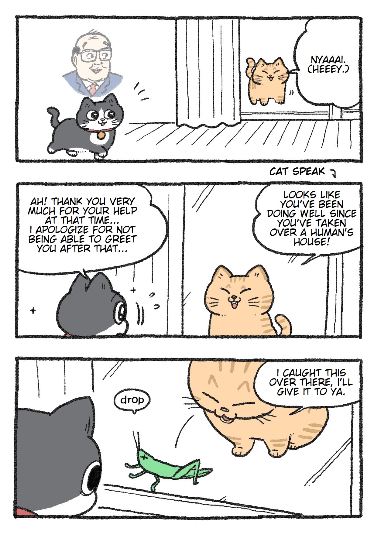 The Old Man Who Was Reincarnated As A Cat chapter 145 page 1