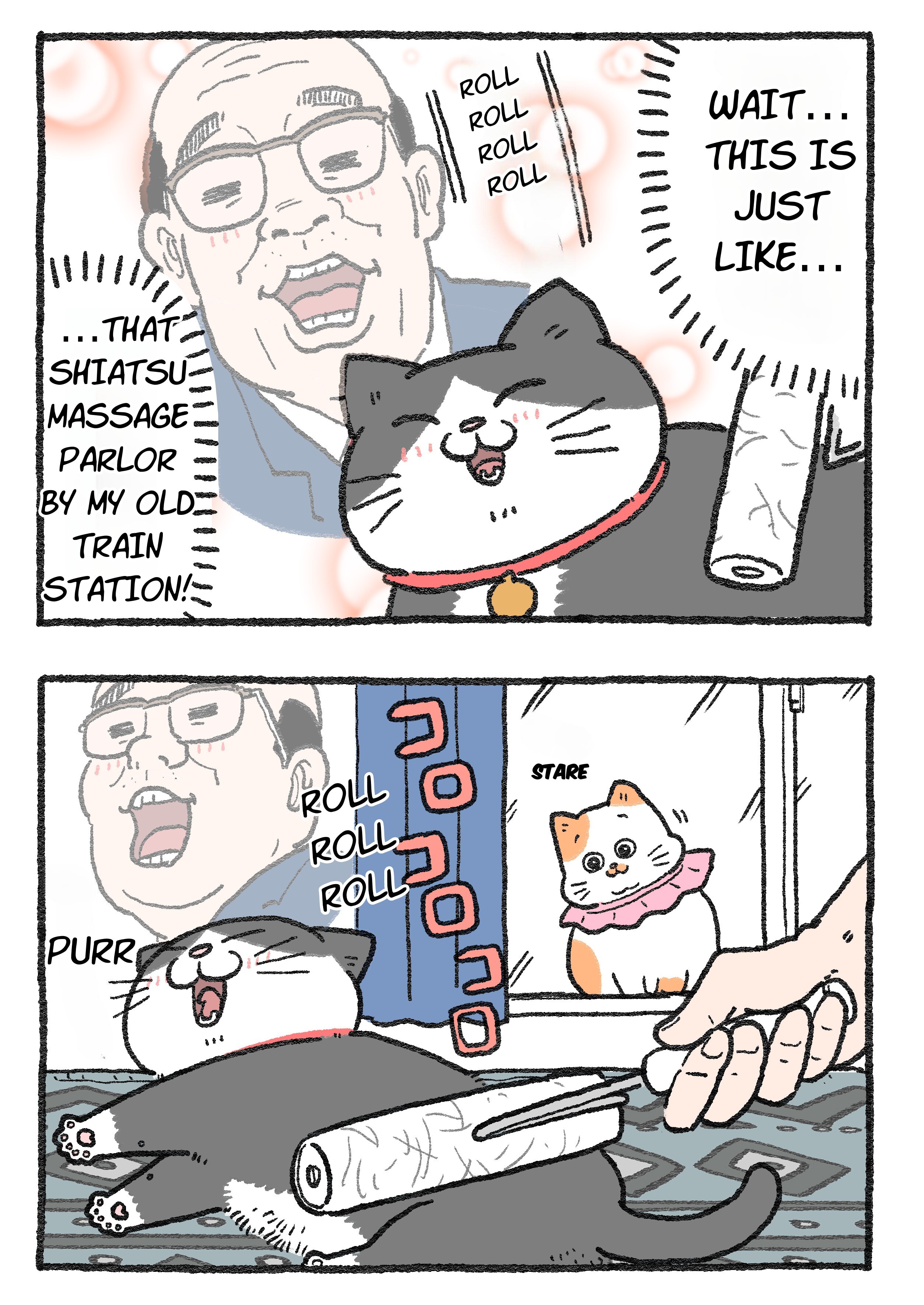 The Old Man Who Was Reincarnated As A Cat chapter 172.5 page 7