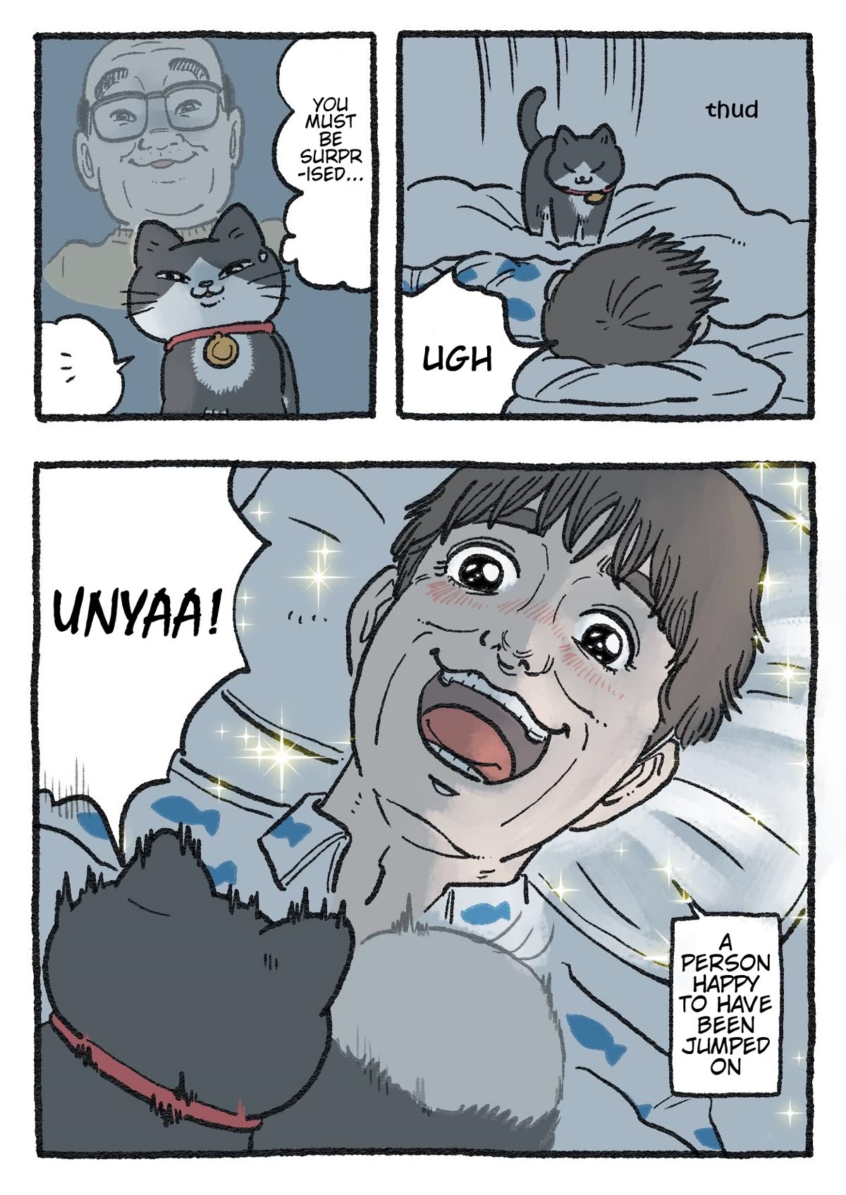 The Old Man Who Was Reincarnated As A Cat chapter 197 page 2