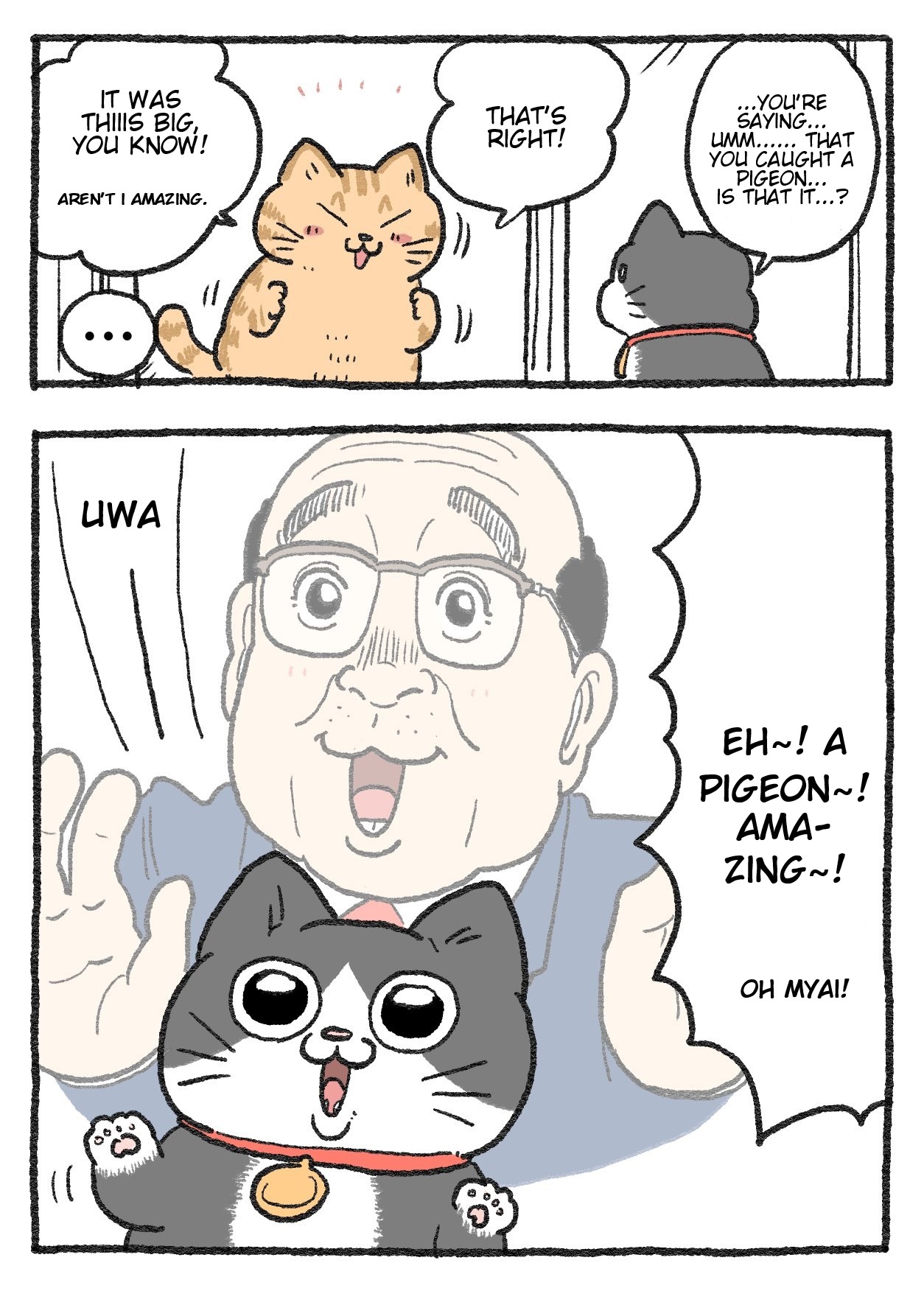The Old Man Who Was Reincarnated As A Cat chapter 252 page 2