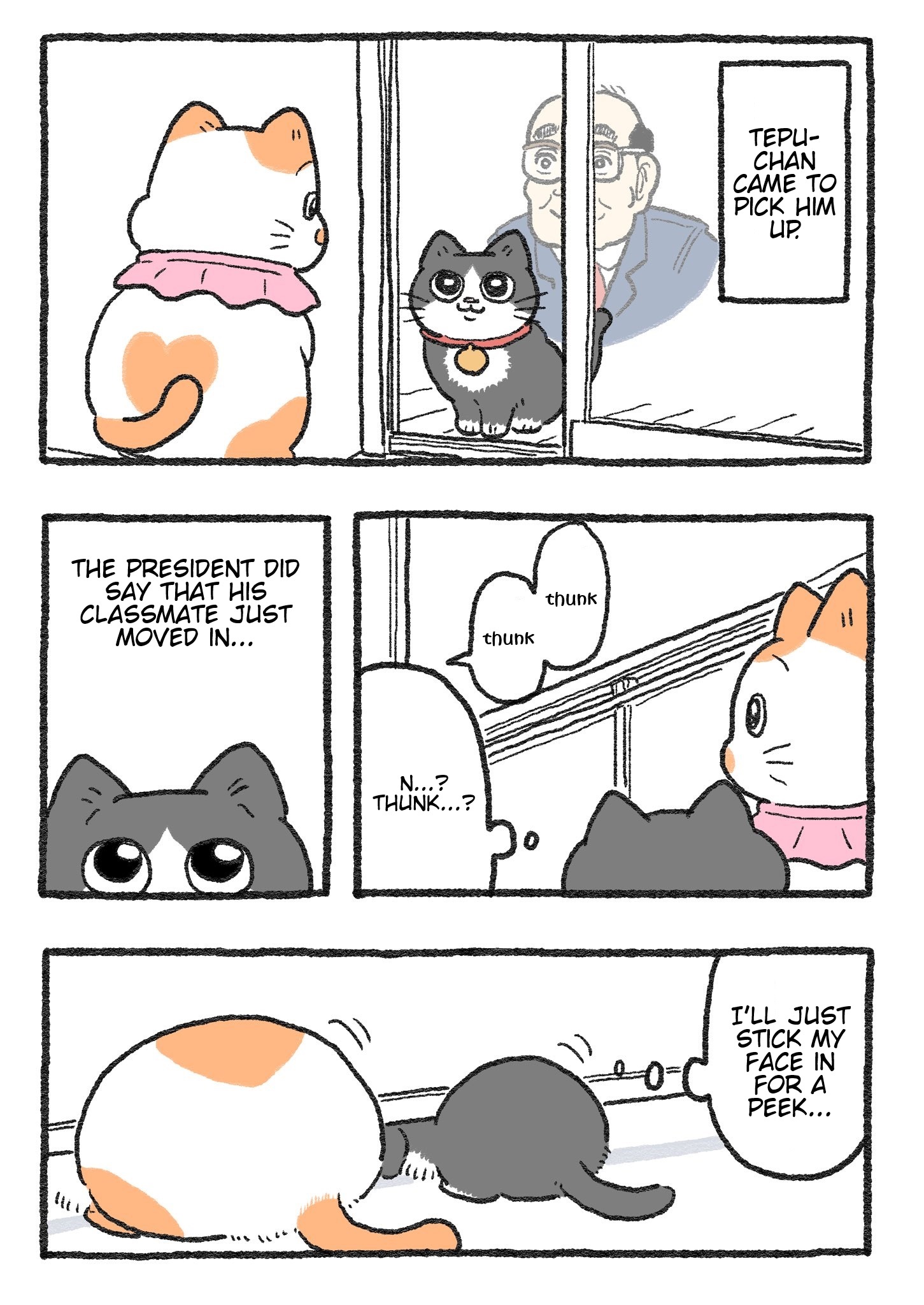 The Old Man Who Was Reincarnated As A Cat chapter 257 page 1