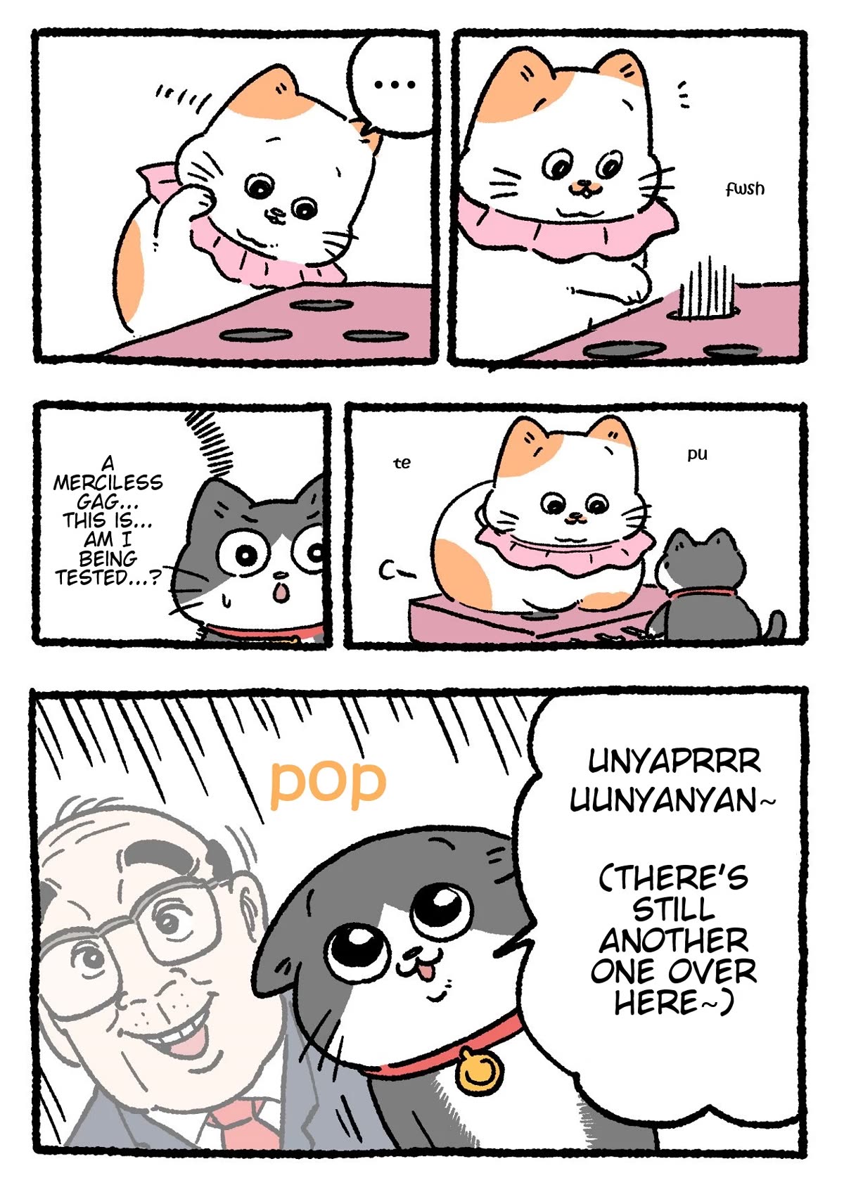 The Old Man Who Was Reincarnated As A Cat chapter 344 page 2