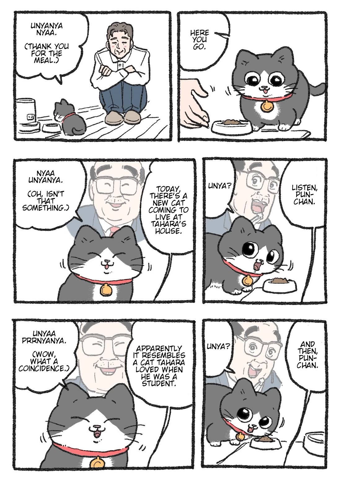 The Old Man Who Was Reincarnated As A Cat chapter 376 page 1