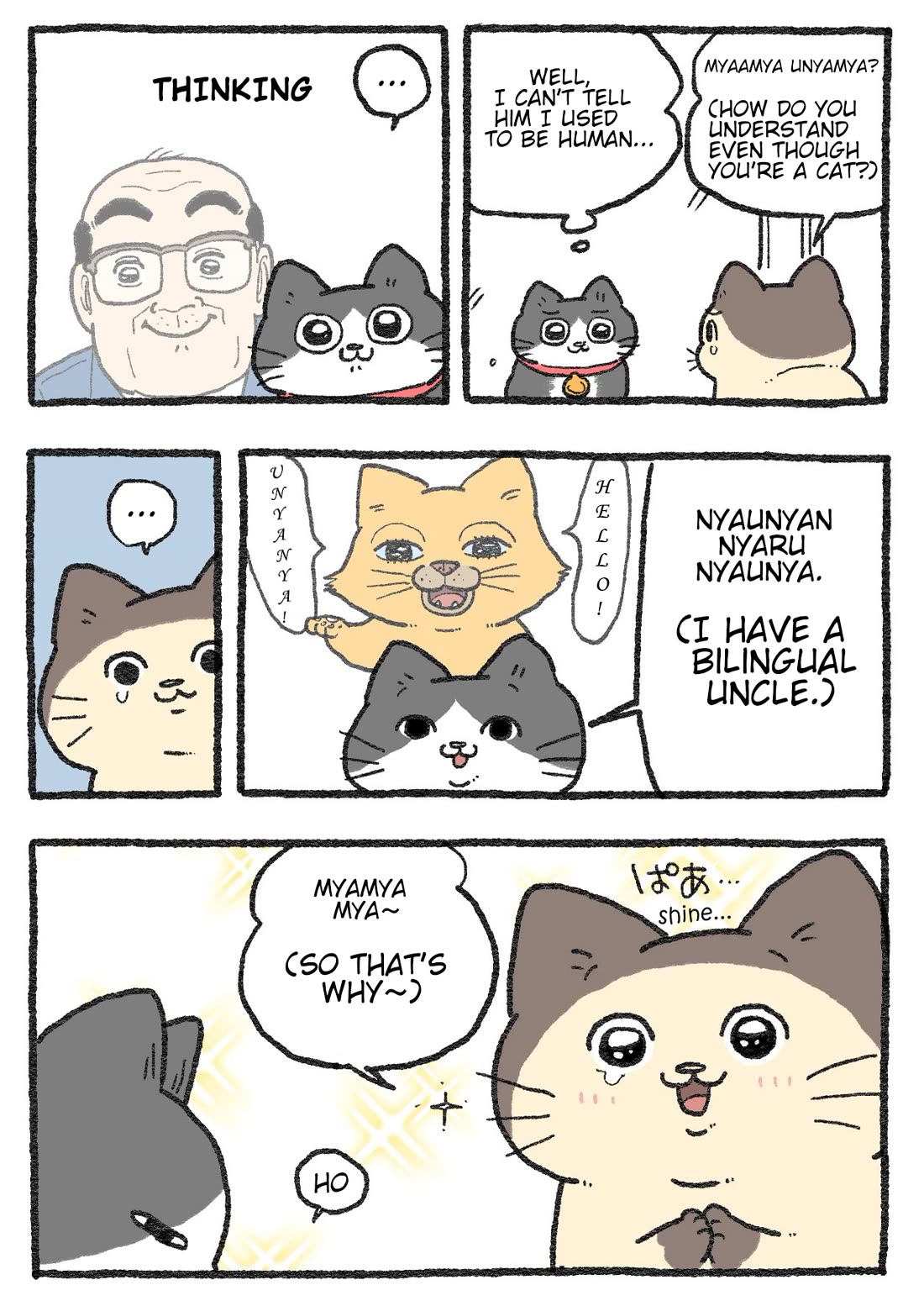 The Old Man Who Was Reincarnated As A Cat chapter 381 page 2