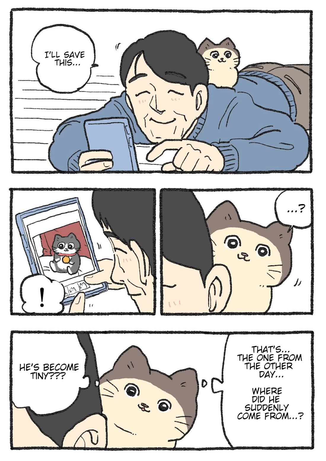 The Old Man Who Was Reincarnated As A Cat chapter 385 page 1