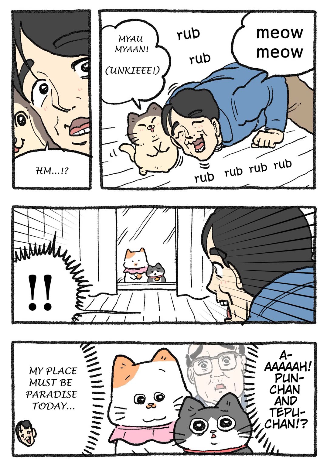 The Old Man Who Was Reincarnated As A Cat chapter 393 page 1