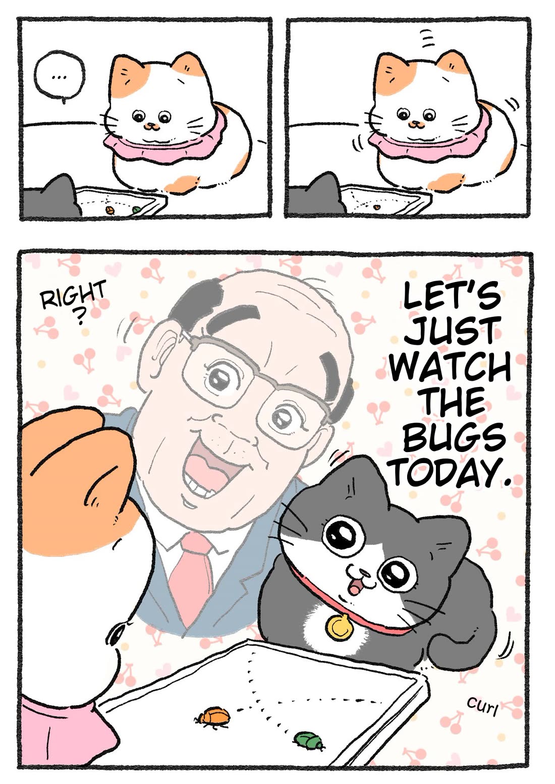 The Old Man Who Was Reincarnated As A Cat chapter 424 page 2