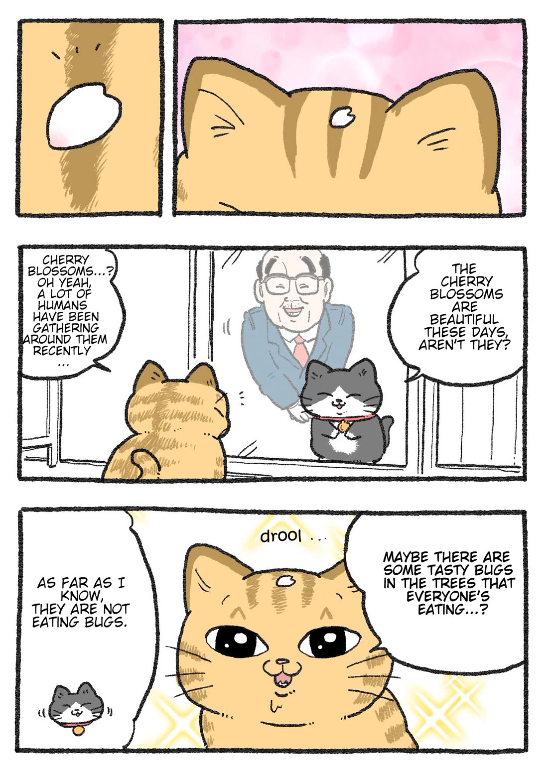 The Old Man Who Was Reincarnated As A Cat chapter 430 page 2