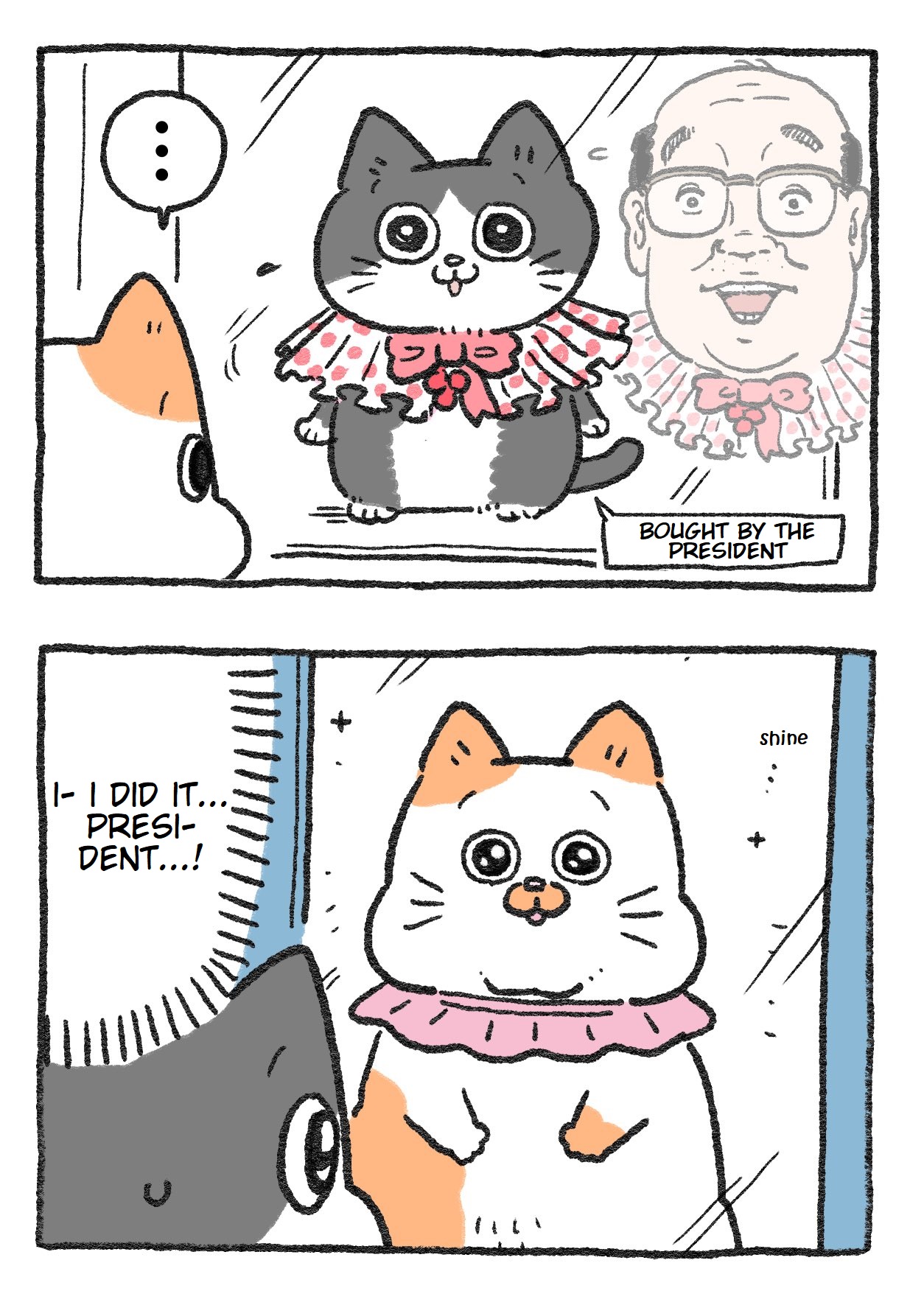 The Old Man Who Was Reincarnated As A Cat chapter 49 page 2