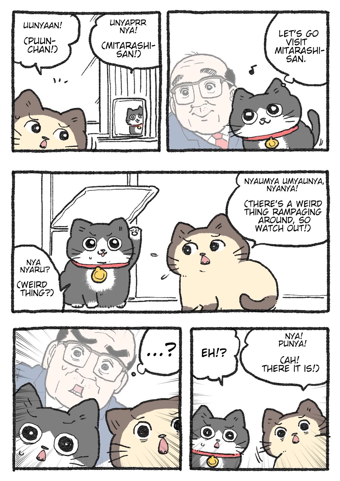 The Old Man Who Was Reincarnated As A Cat chapter 504 page 1