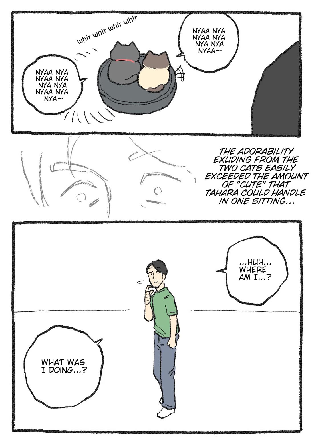 The Old Man Who Was Reincarnated As A Cat chapter 506 page 3