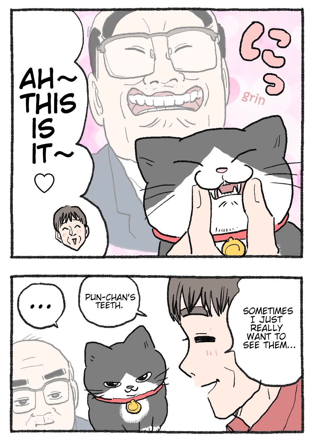 The Old Man Who Was Reincarnated As A Cat chapter 511 page 2