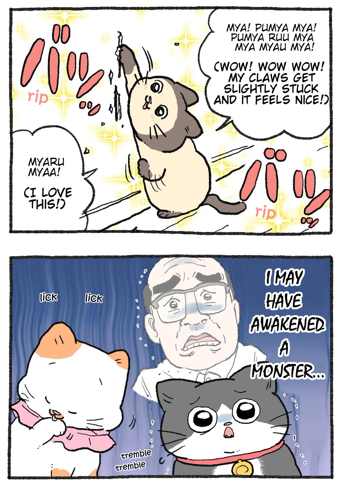 The Old Man Who Was Reincarnated As A Cat chapter 519 page 2