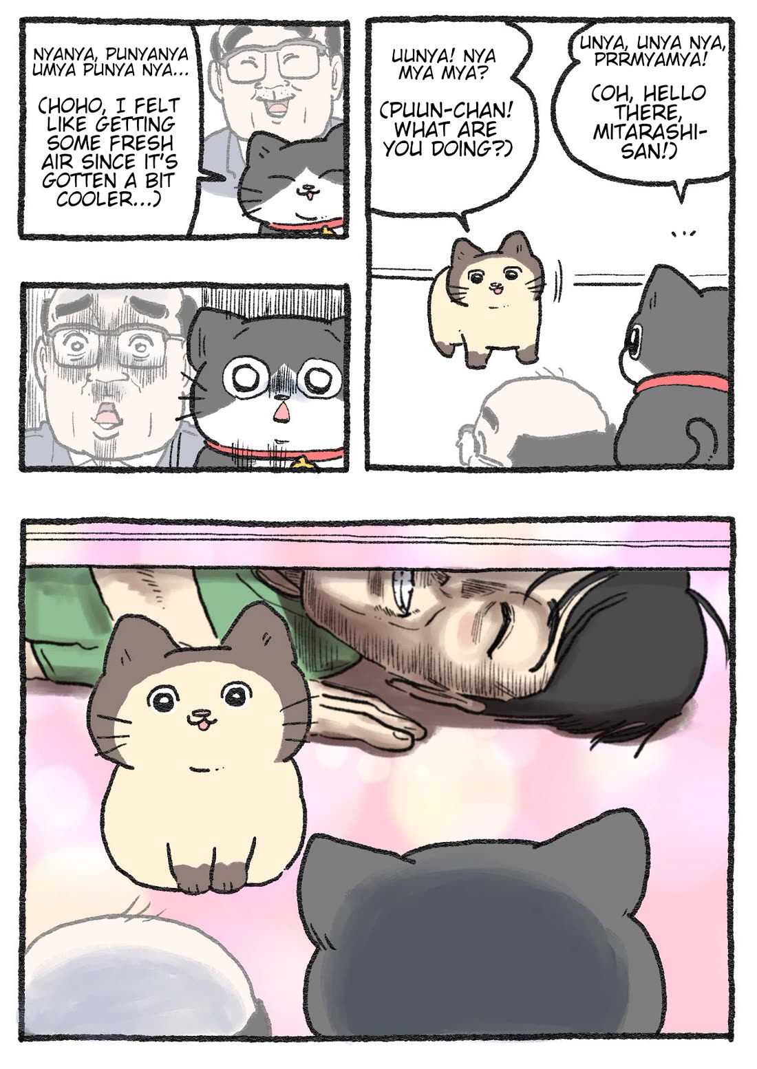 The Old Man Who Was Reincarnated As A Cat chapter 557 page 2