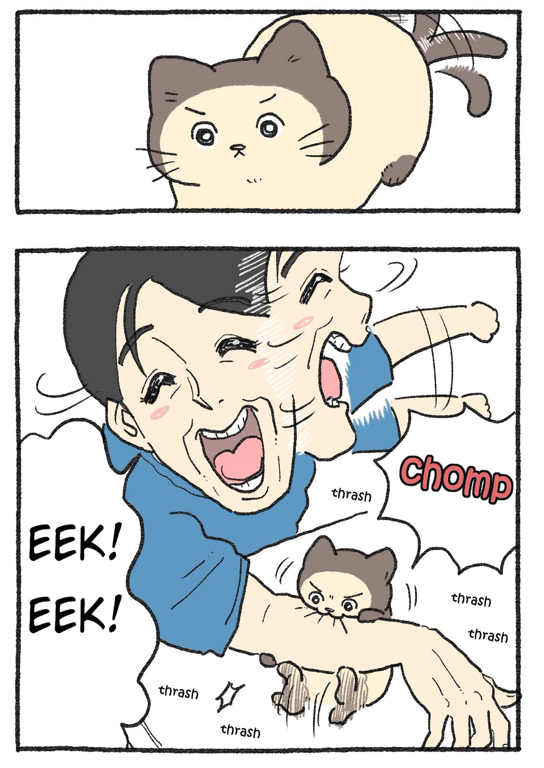 The Old Man Who Was Reincarnated As A Cat chapter 565 page 2