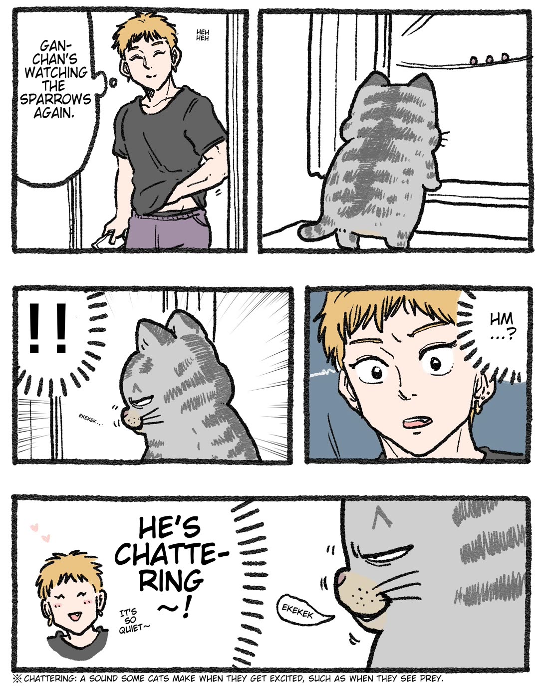 The Old Man Who Was Reincarnated As A Cat chapter 568.5 page 1