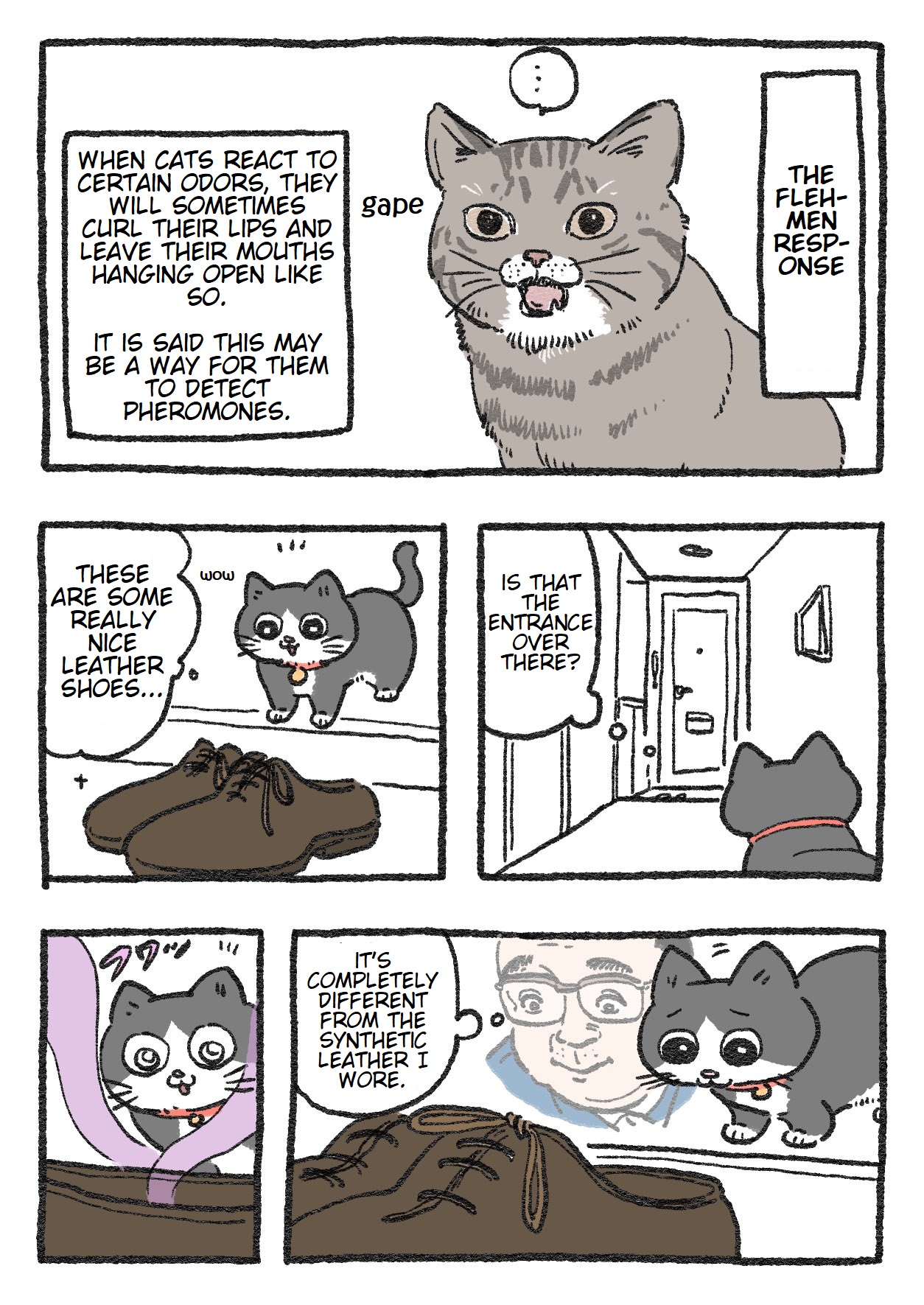 The Old Man Who Was Reincarnated As A Cat chapter 57 page 1