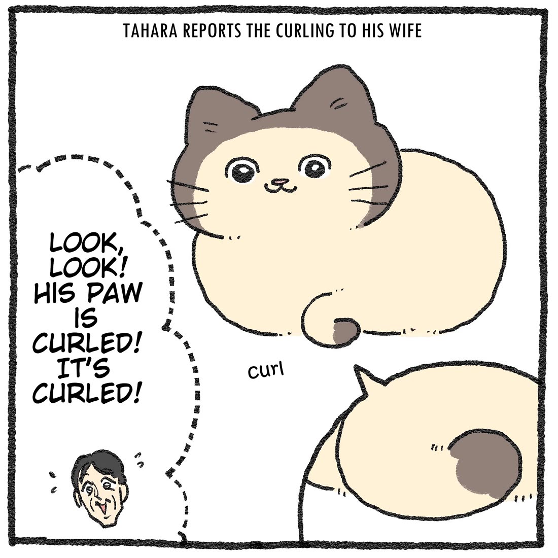 The Old Man Who Was Reincarnated As A Cat chapter 578.6 page 4