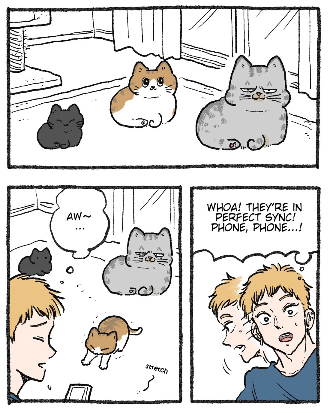 The Old Man Who Was Reincarnated As A Cat chapter 591.5 page 1