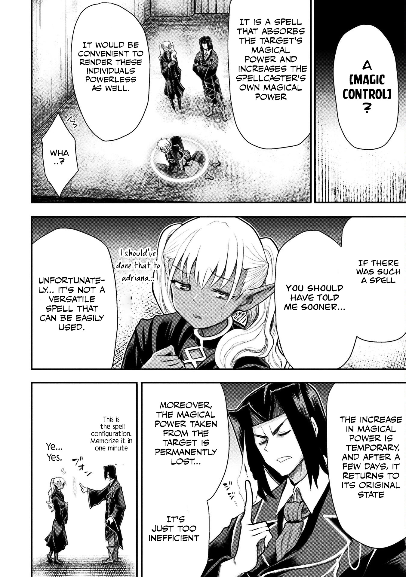 The Other World's Wizard Does Not Chant chapter 30 page 19