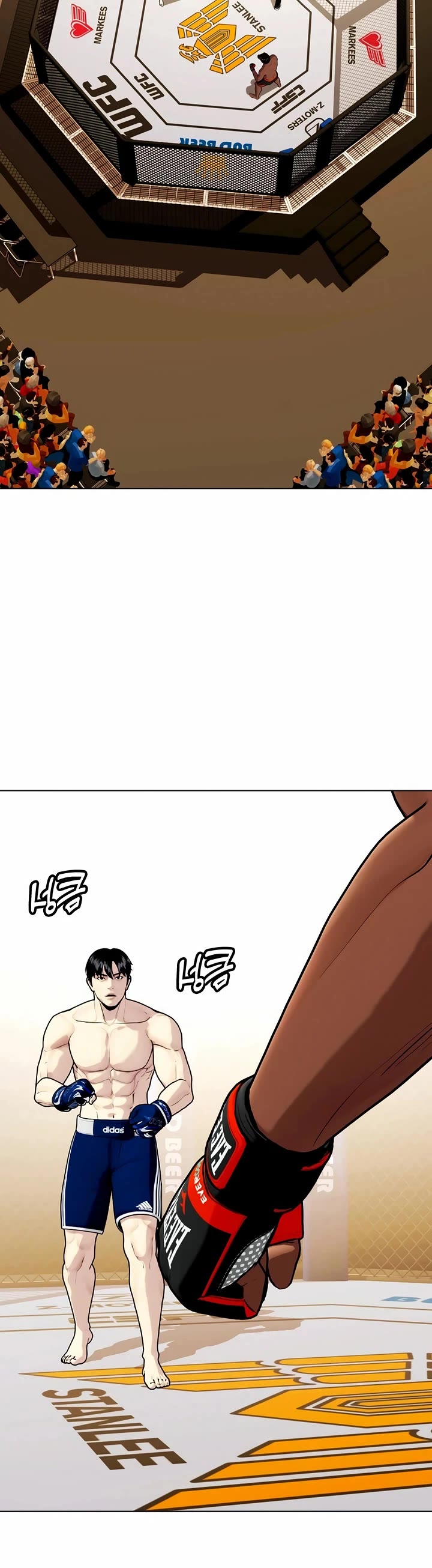 The Outcast Is Too Good At Martial Arts chapter 111 page 84