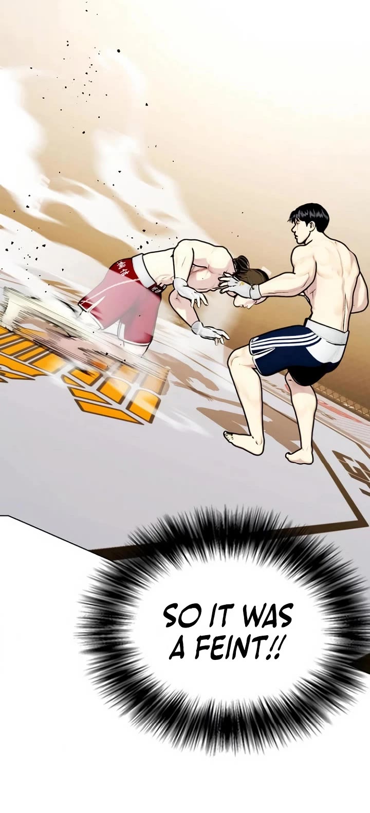 The Outcast Is Too Good At Martial Arts chapter 133 page 74