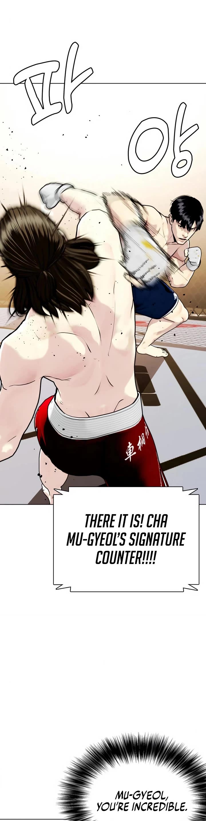 The Outcast Is Too Good At Martial Arts chapter 133 page 89