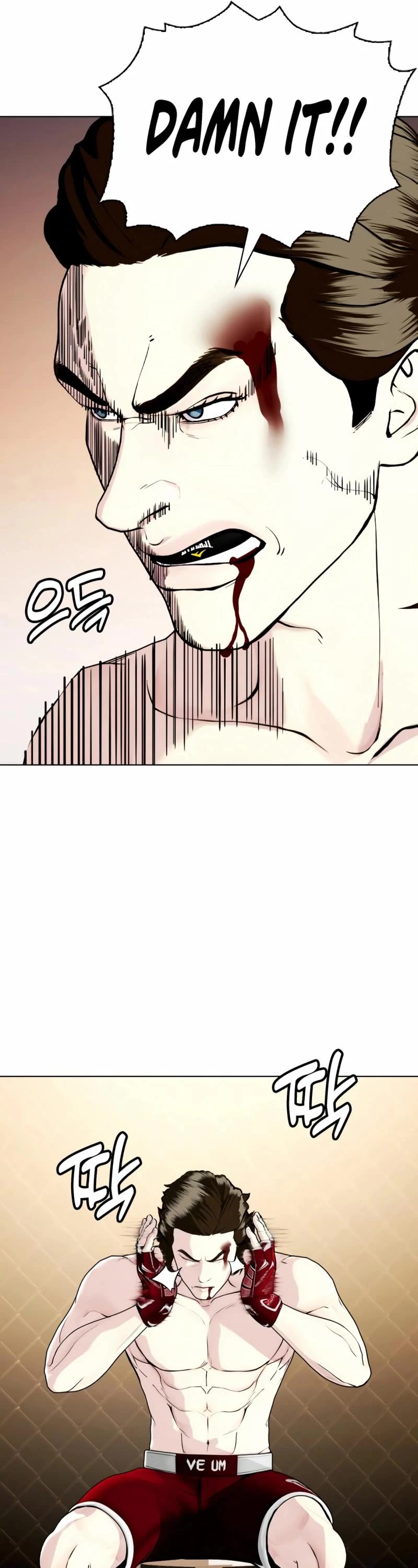 The Outcast Is Too Good At Martial Arts chapter 67 page 27