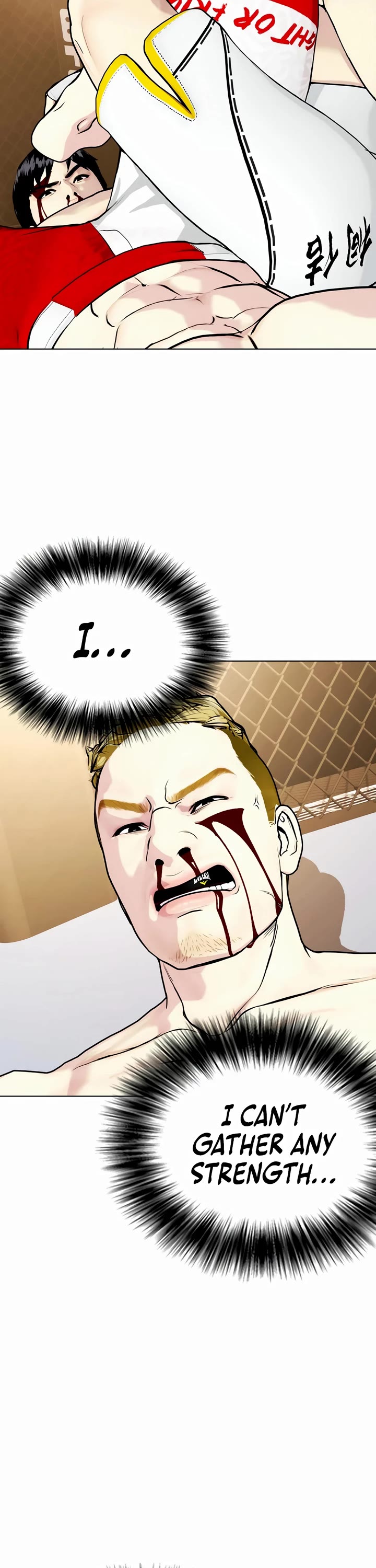 The Outcast Is Too Good At Martial Arts chapter 83 page 17