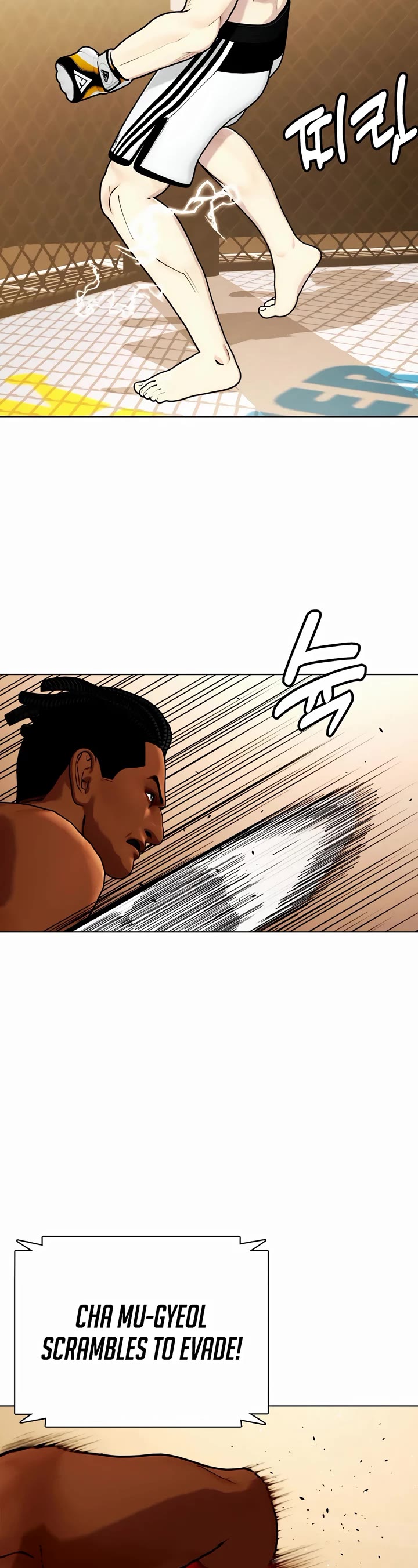 The Outcast Is Too Good At Martial Arts chapter 93 page 12