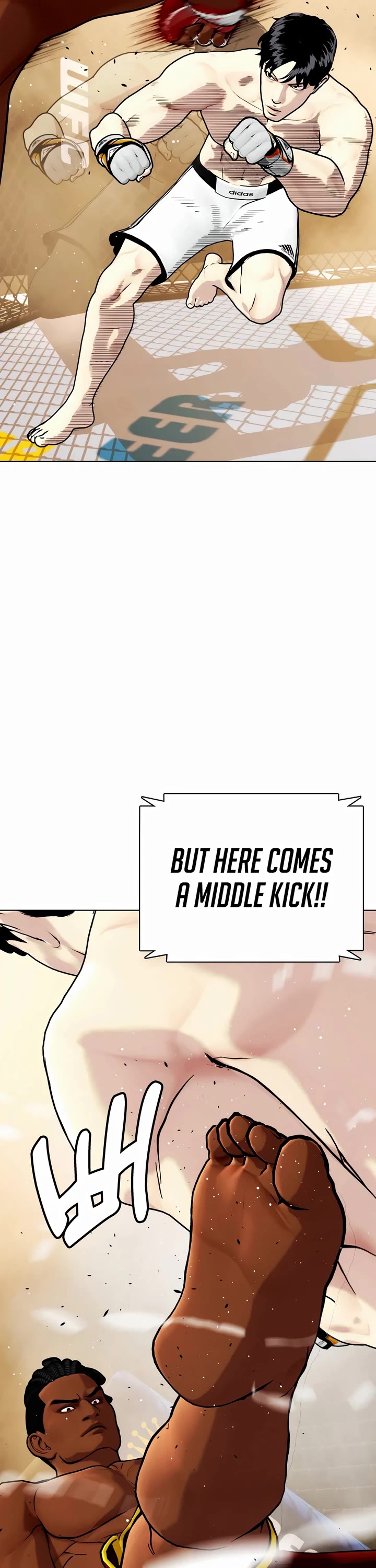 The Outcast Is Too Good At Martial Arts chapter 93 page 13