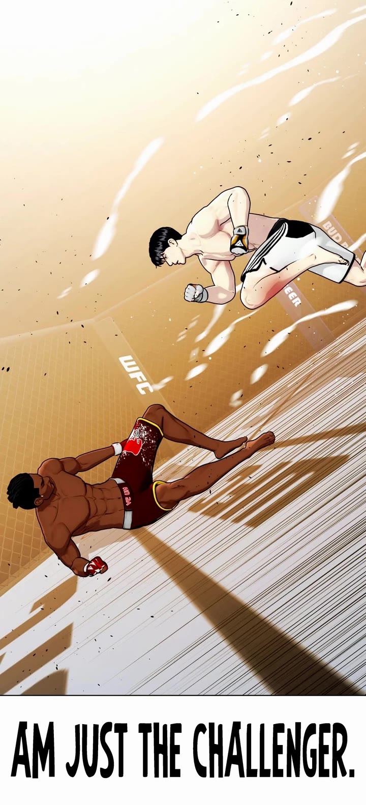 The Outcast Is Too Good At Martial Arts chapter 95 page 55