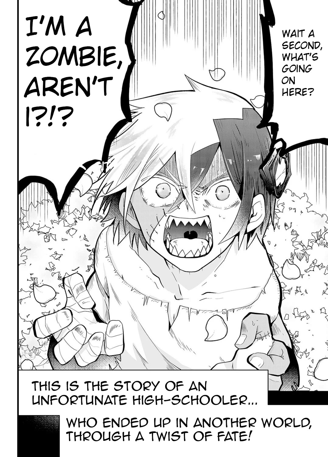 The Patchwork Hero chapter 1 page 2