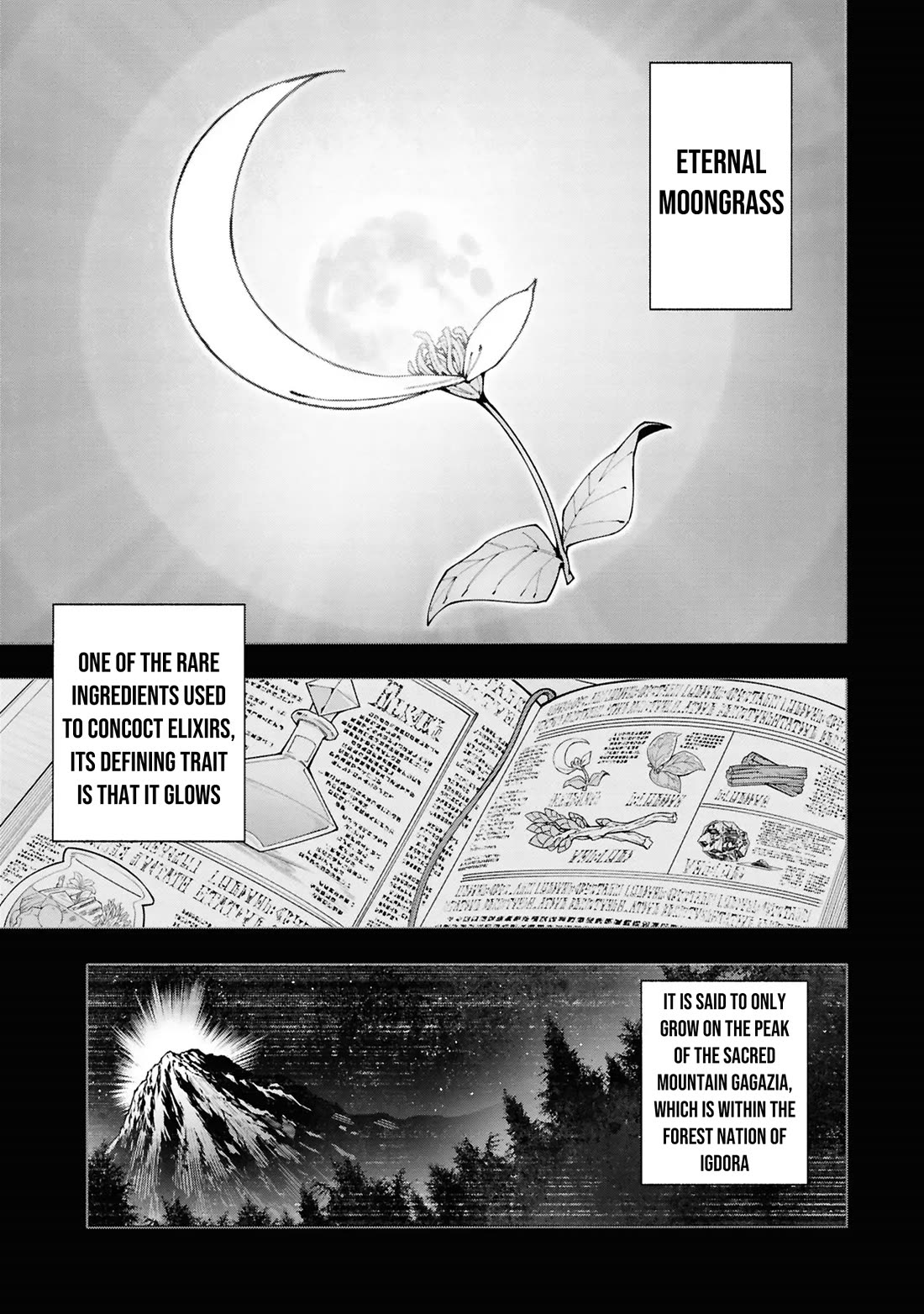 The Path of an S-Class Adventurer: The Exiled Boy Becomes the World's Strongest With His True Ability, "Weapon Master" chapter 3 page 2