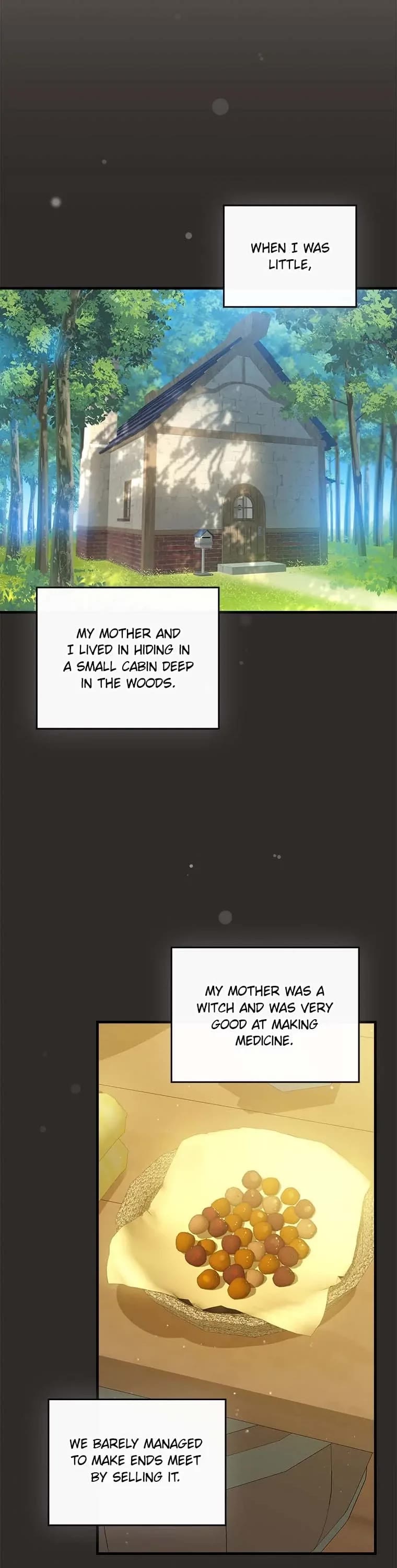 The Perfect Ending for the Villainess of a Fairy Tale chapter 67 page 22