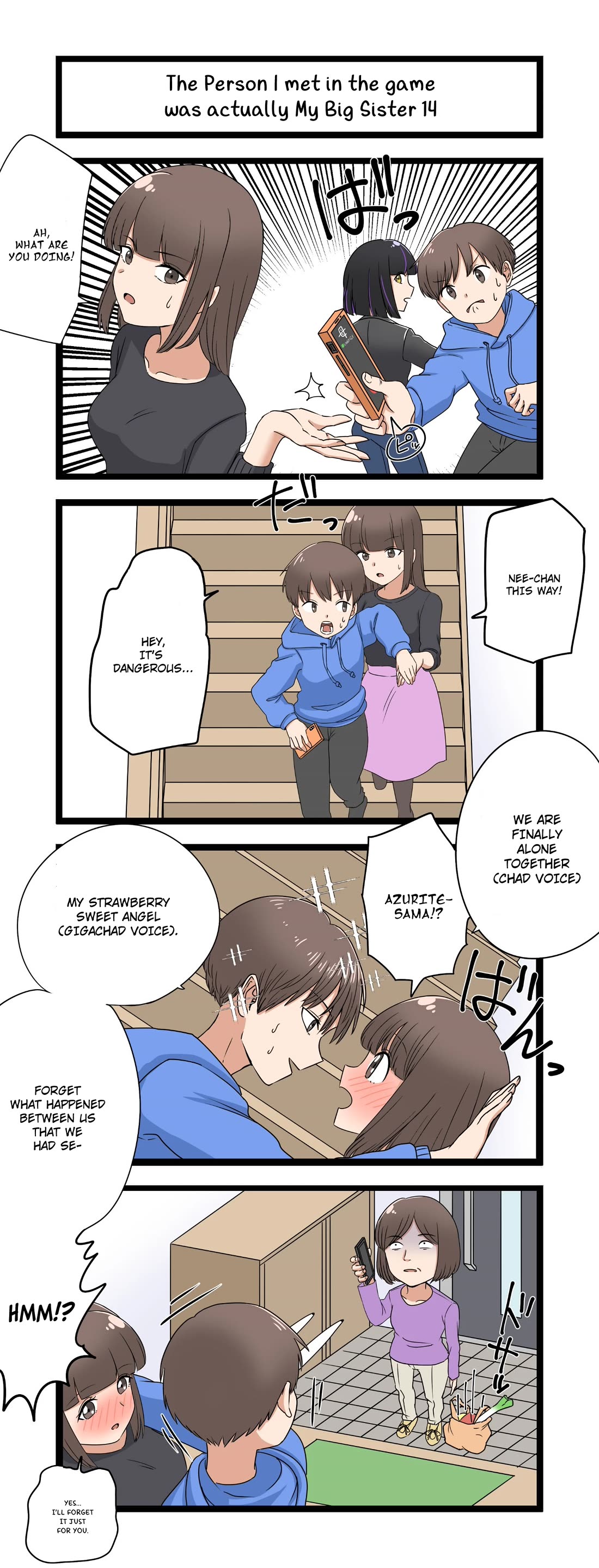 The Person I Met In-Game Was Actually My Big Sister. chapter 14 page 1