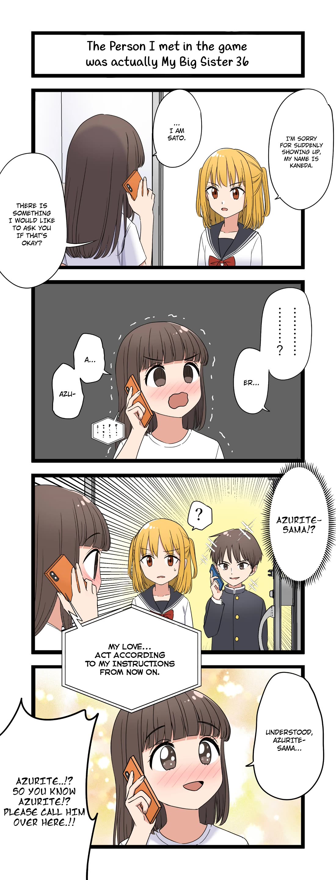 The Person I Met In-Game Was Actually My Big Sister. chapter 36 page 1