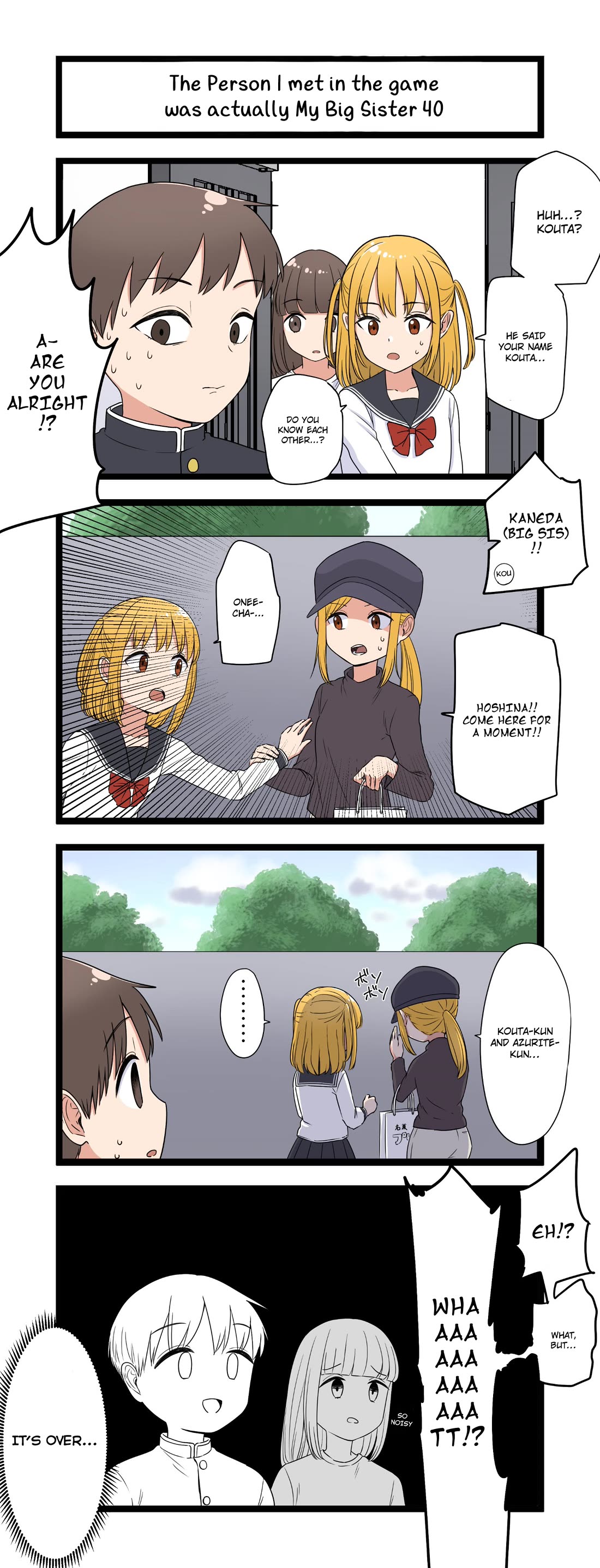The Person I Met In-Game Was Actually My Big Sister. chapter 40 page 1