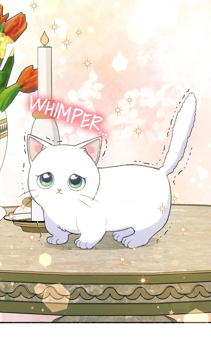 The Possesive Tyrant And His Sleepy Cat chapter 1 page 69