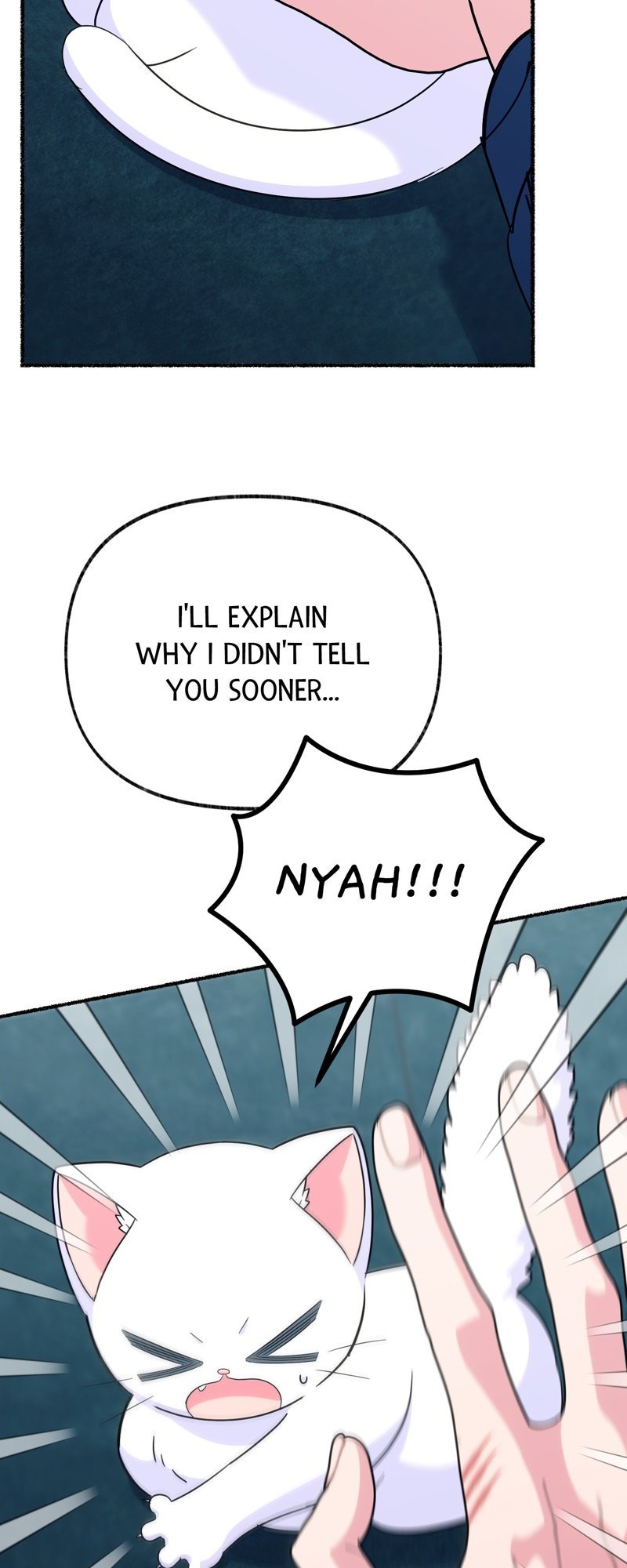 The Possesive Tyrant And His Sleepy Cat chapter 11 page 11