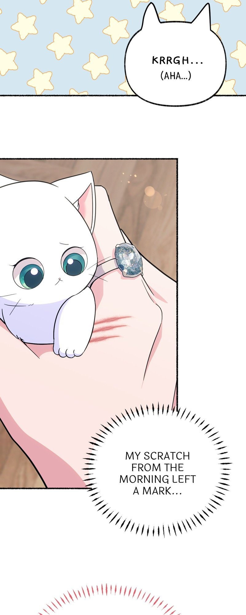 The Possesive Tyrant And His Sleepy Cat chapter 12 page 11