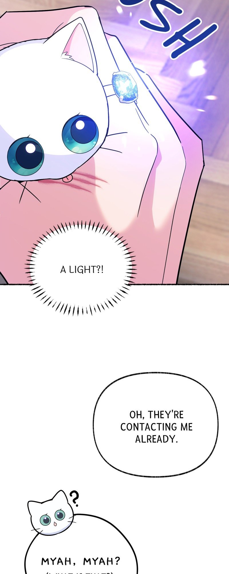 The Possesive Tyrant And His Sleepy Cat chapter 12 page 13