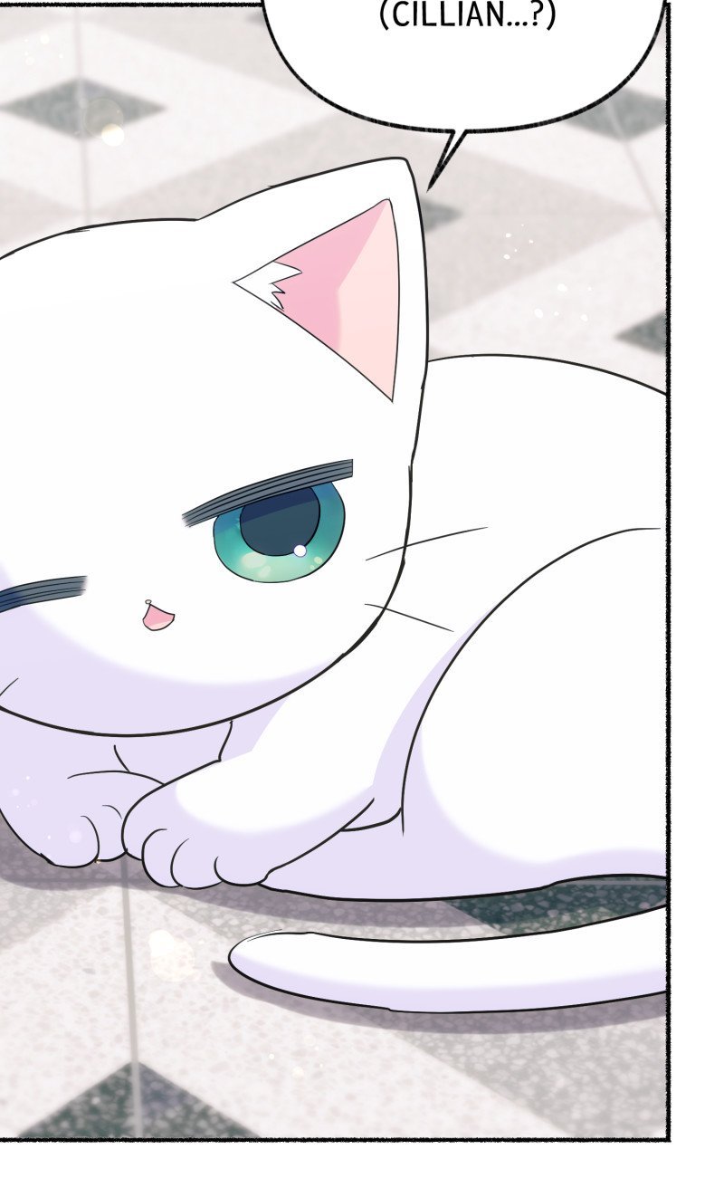 The Possesive Tyrant And His Sleepy Cat chapter 15 page 46