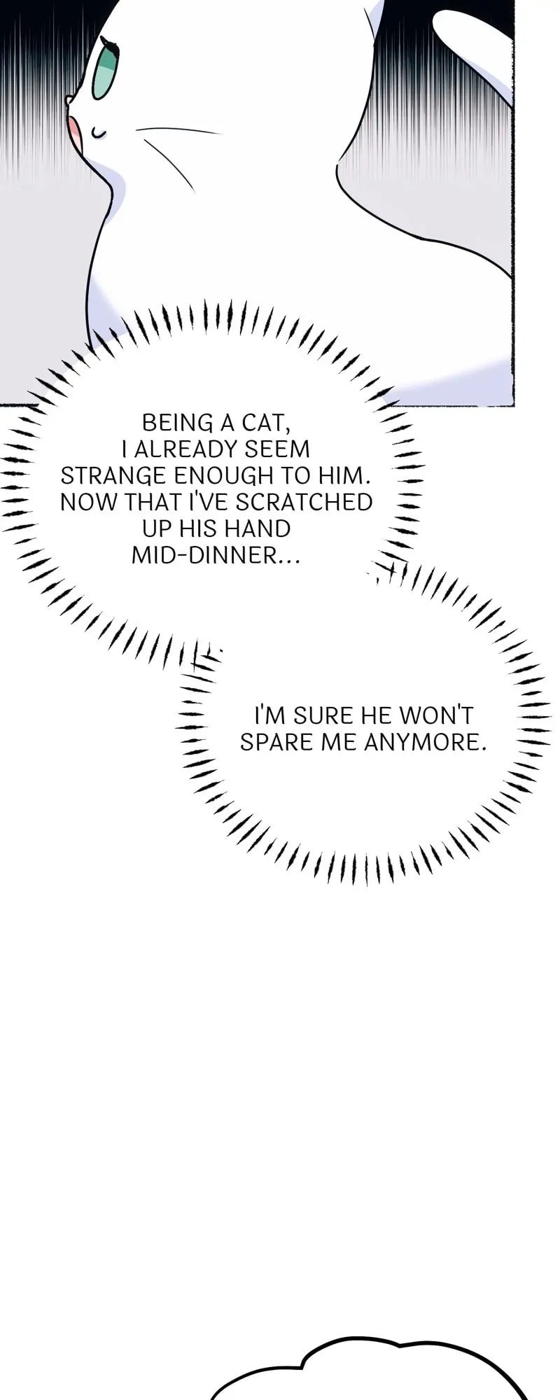 The Possesive Tyrant And His Sleepy Cat chapter 2 page 74