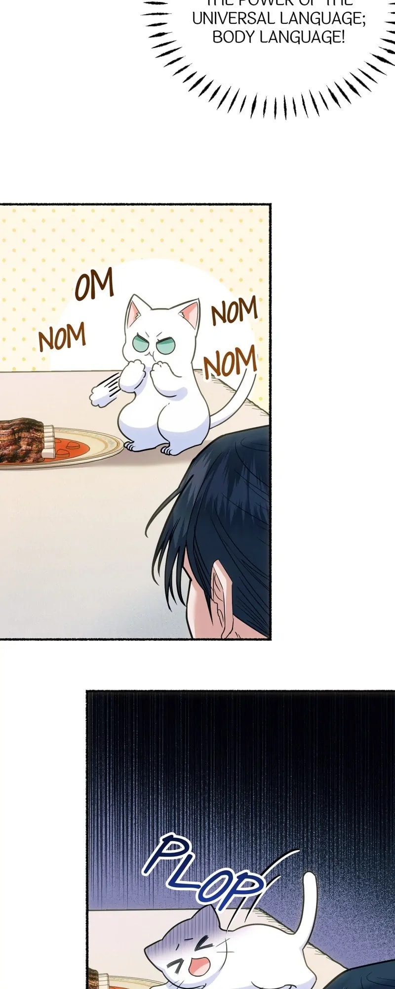 The Possesive Tyrant And His Sleepy Cat chapter 3 page 17