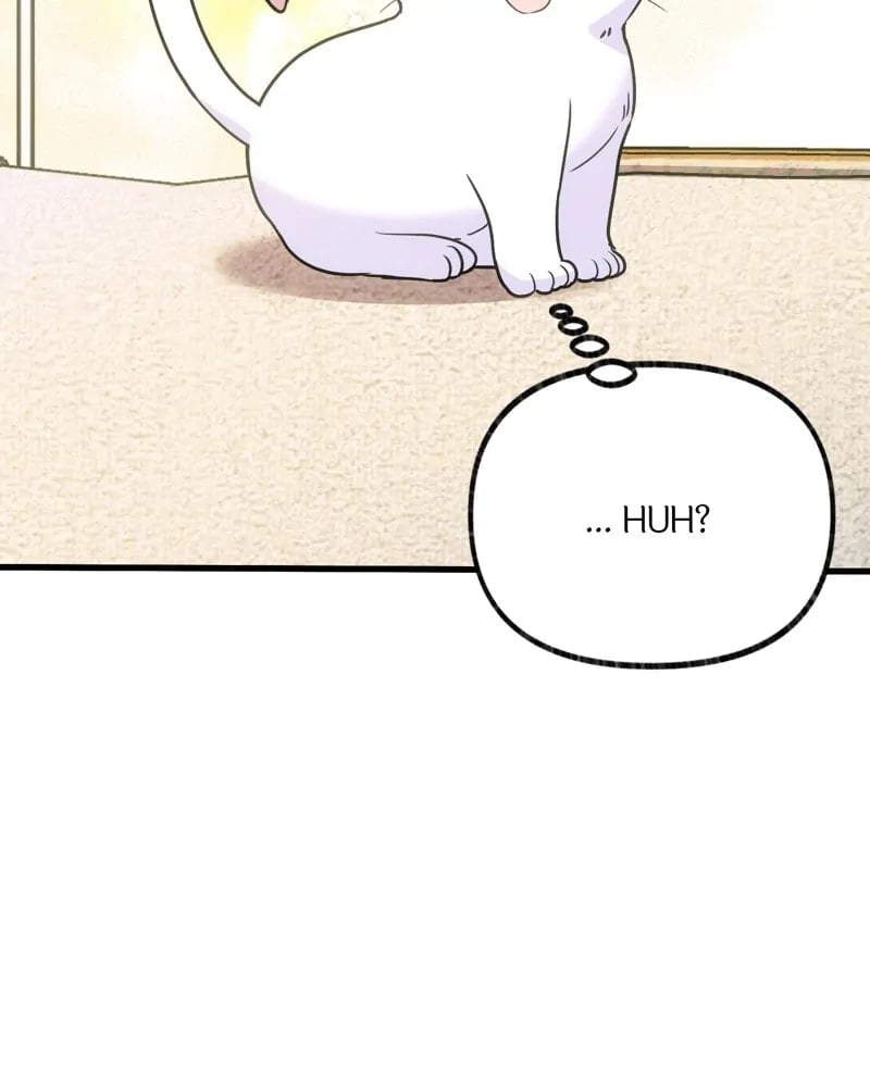 The Possesive Tyrant And His Sleepy Cat chapter 3 page 8