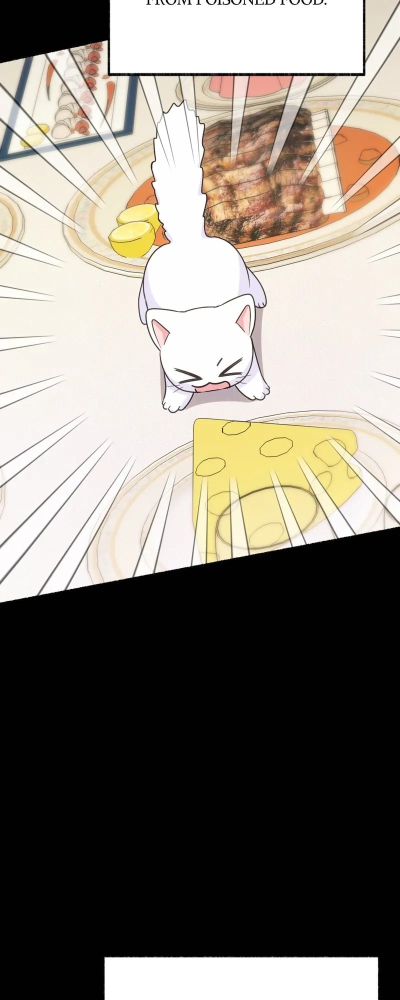 The Possesive Tyrant And His Sleepy Cat chapter 4 page 19